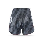 Pantalón Muay Thai Fairtex x Booster TBT Stealth 1 - Imagen 2