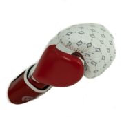 Guantes Fairtex-Booster BG Star WH/WR - Imagen 5