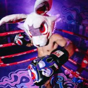 Guantes de boxeo de conejo enojado - Imagen 4