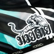 Pantalones cortos Power Muay Thai - Imagen 12
