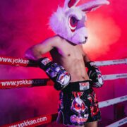 Pantalones cortos de muay thai Angry Rabbit - Imagen 5
