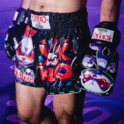 Guantes de boxeo de conejo enojado - Imagen 5